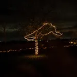 Hoeve Hazegras * クノック・ヘイスト