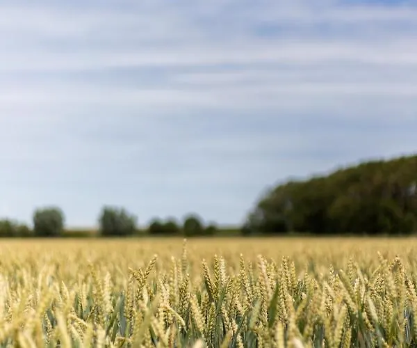 Hébergement de vacances Hoeve Hazegras